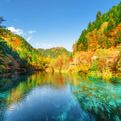 river-autumn-forest-china