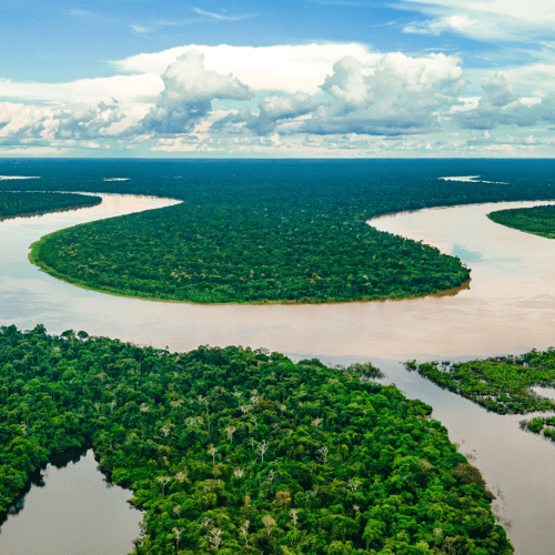 amazon-river-rainforest