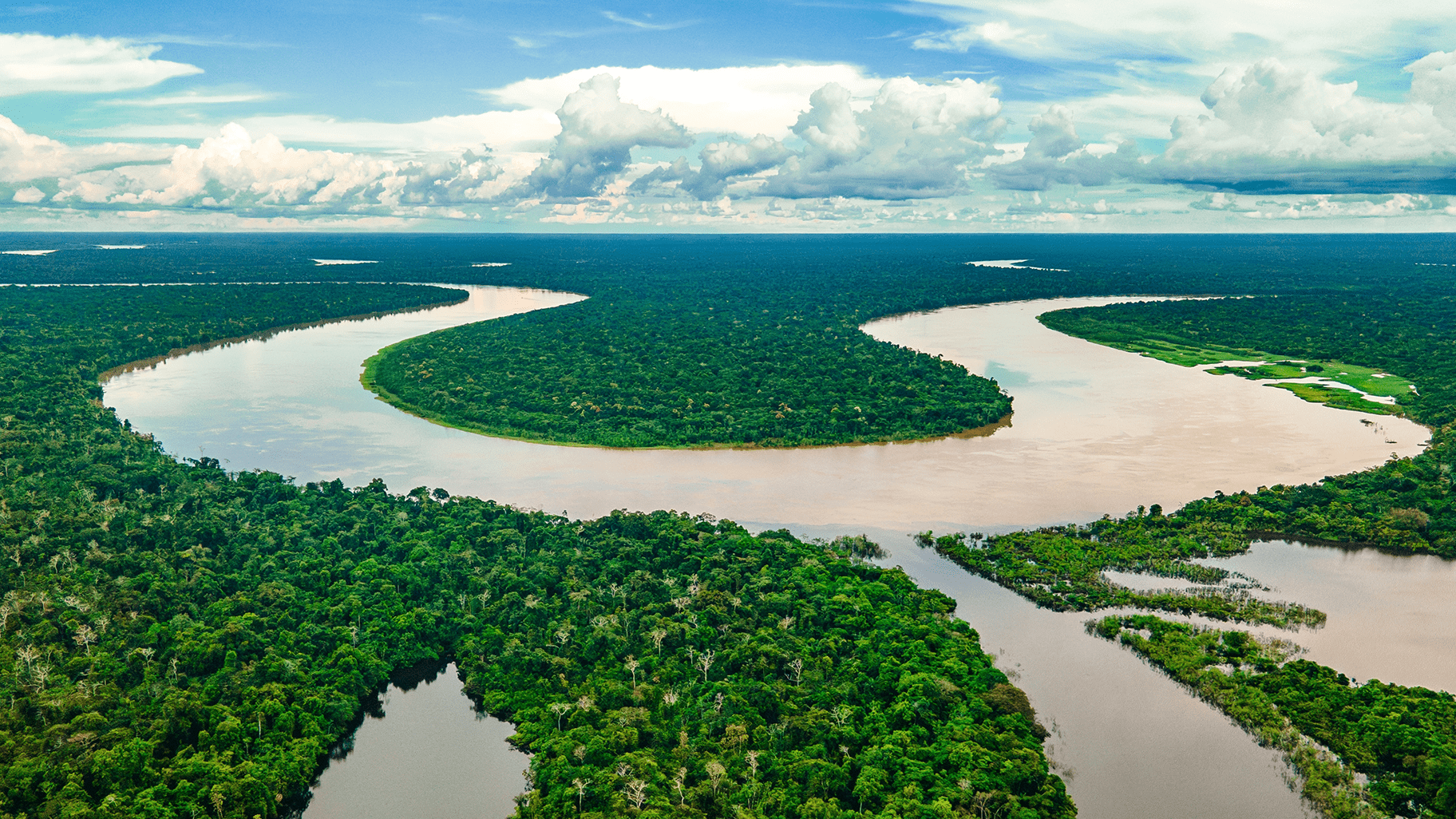 amazon-river-rainforest