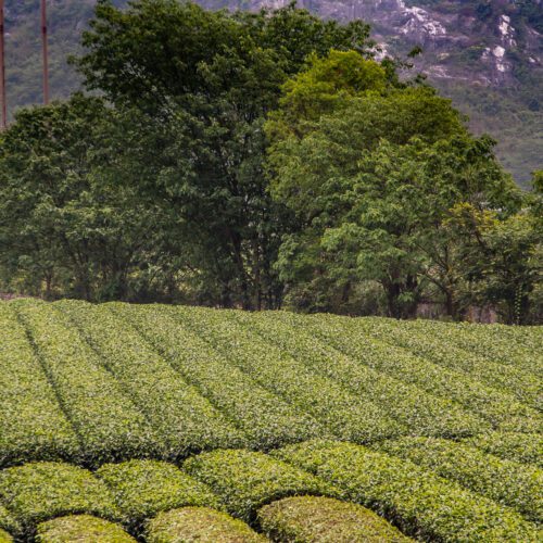 AdobeStock_330860986